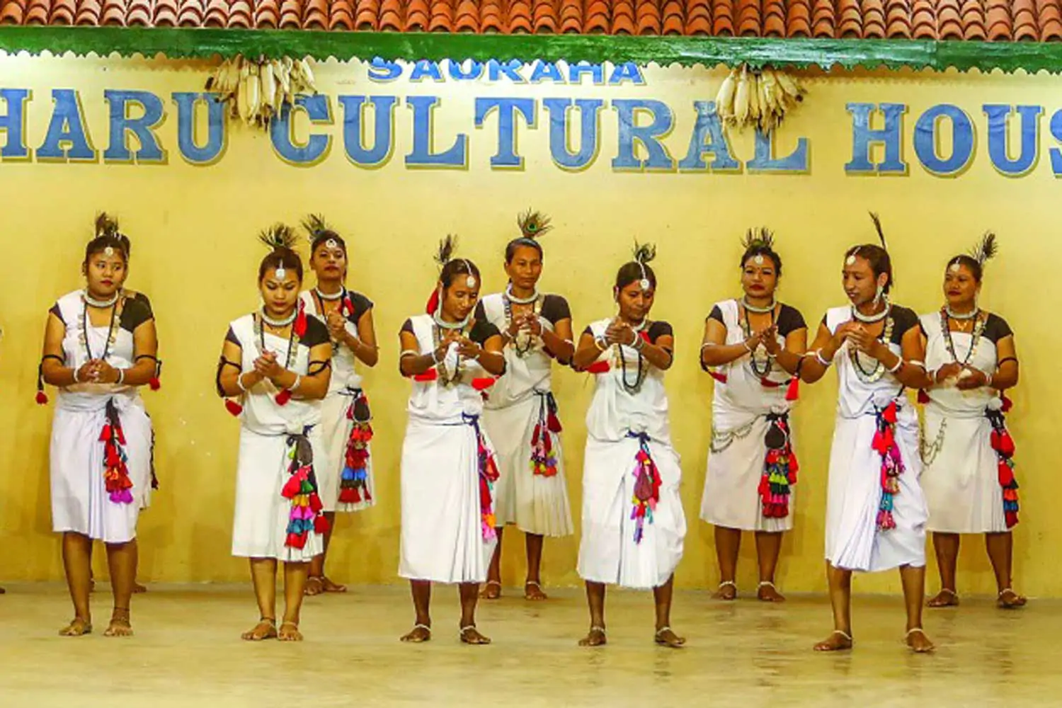 The Tharu People: A Living Heritage of Love, Unity and Tradition
